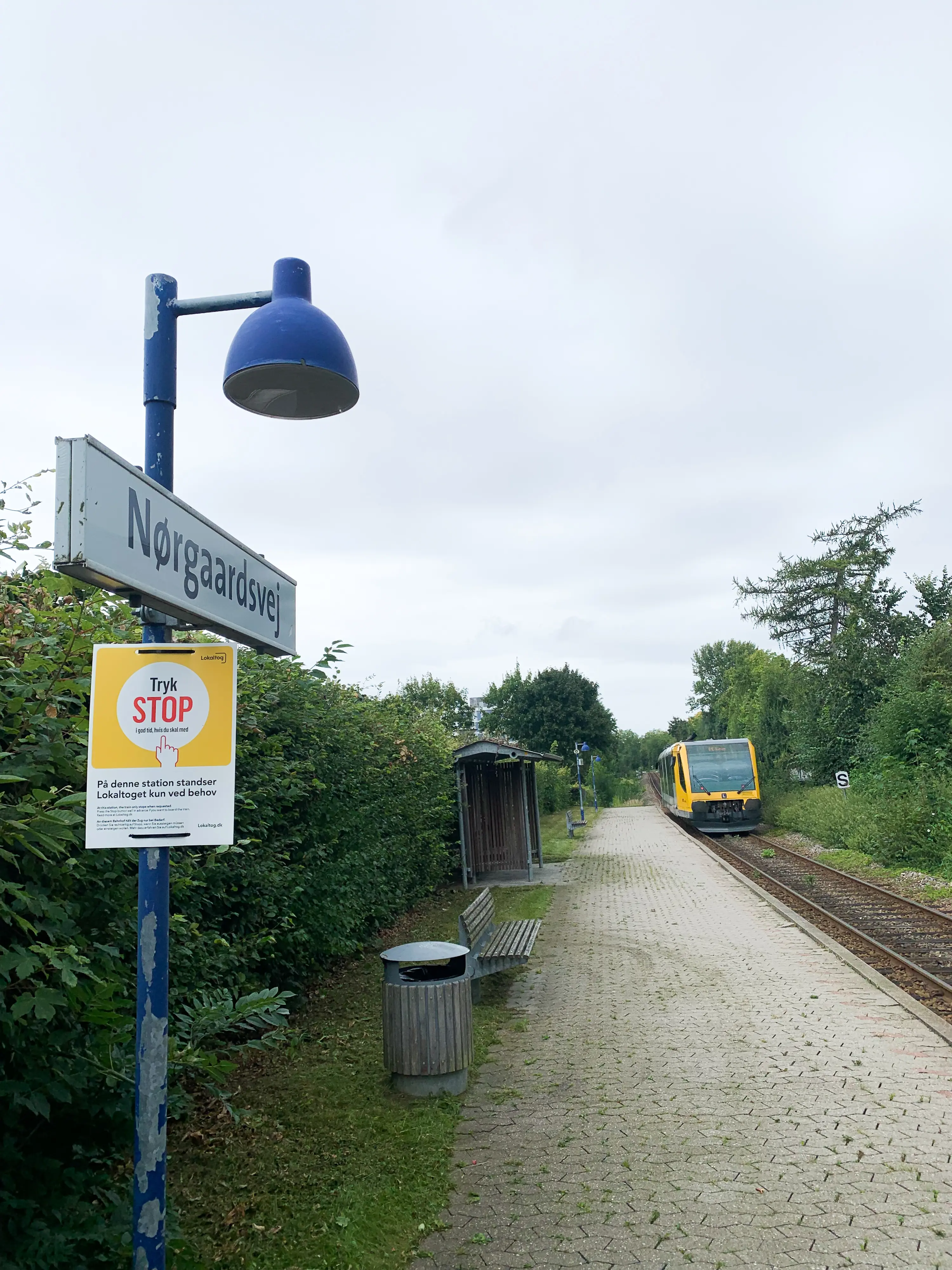 Kampagnen