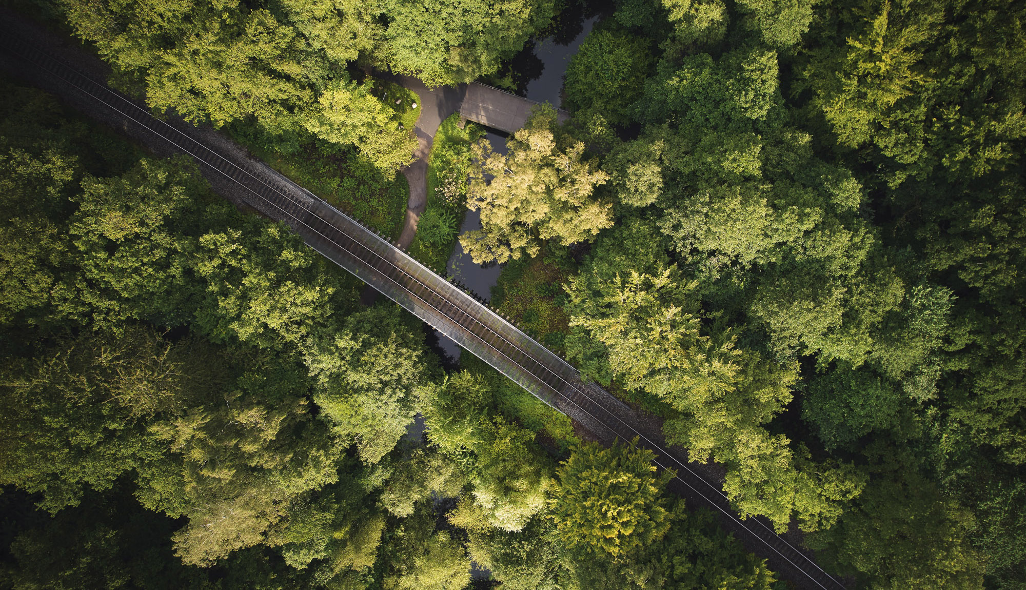 Fakta om Lokaltogs nye batteritog